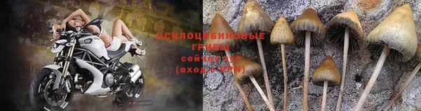 прущая мука Мегион